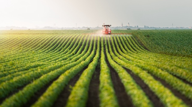 A drone shot of a field of crops