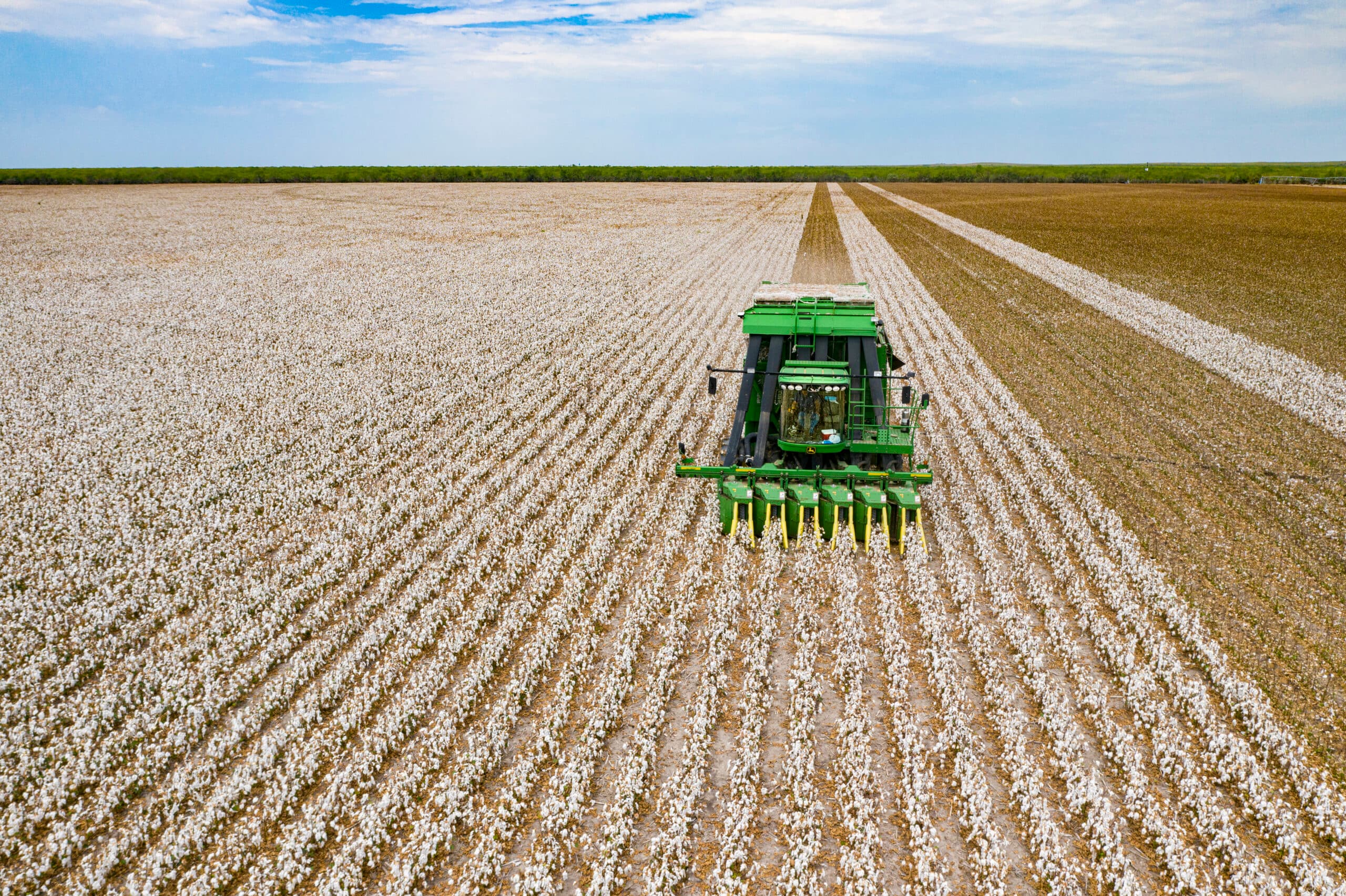 +4.2% Cotton Yield, +R$1,394/ha Profit
